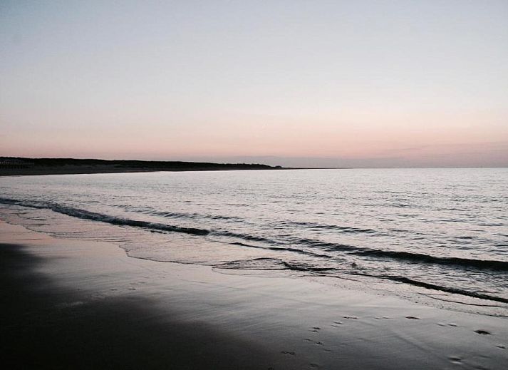 Outdoor pool at Bed & Breakfast Zeeland in Noordwelle, surrounded by nature.