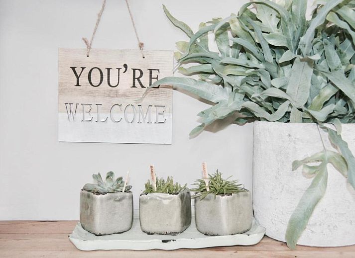 Outdoor pool at Bed & Breakfast Zeeland in Noordwelle, surrounded by nature.