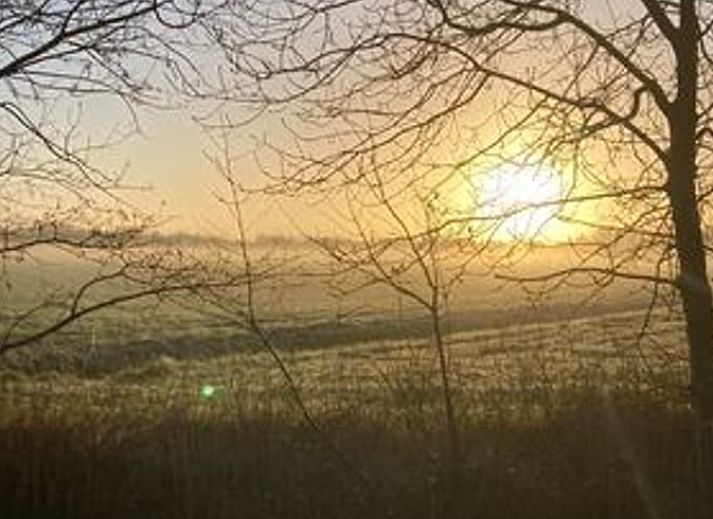 Dining table at cottage in Langweer, ideal for cozy meals.