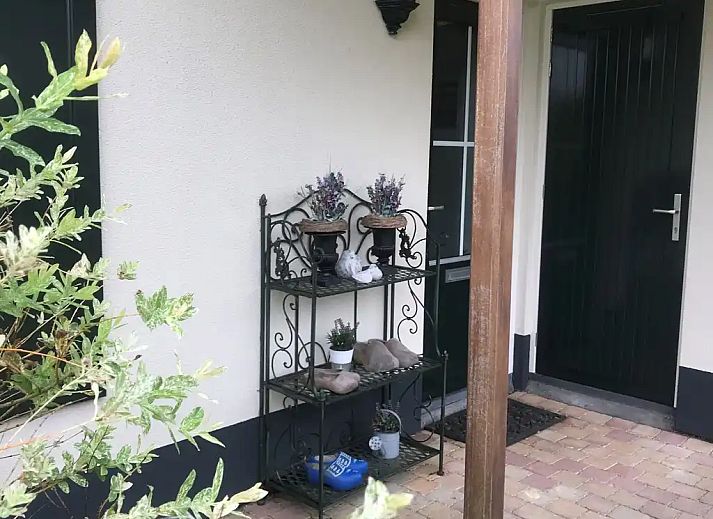 Guest house 110109 - Holiday property  - Wielewaal aan het Water Friesland