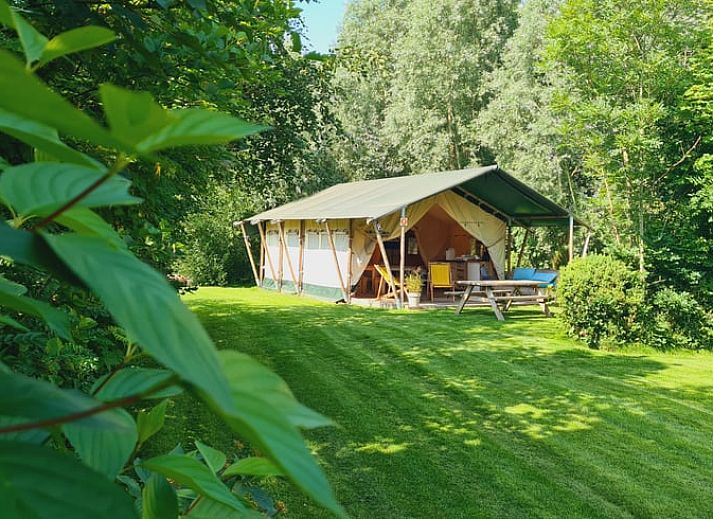 Guest house 110208 • Holiday property Langweerderwielen • Vakantiehuis in Boornzwaag