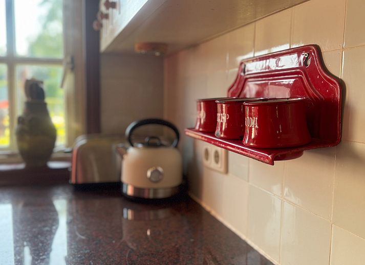 Blumen im Ferienhaus FR421 in Terherne, Sneekermeer, Friesische Seen.