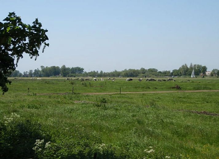 Indoor area of Cottage in Terherne with terrace view, vacation home in Terherne, Sneekermeer.