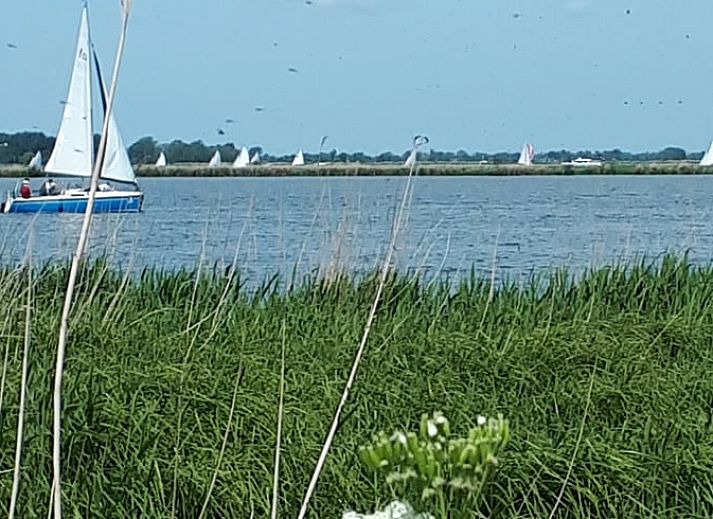 Guest house 120302 - Holiday property Sneekermeer - Huisje in Goingarijp