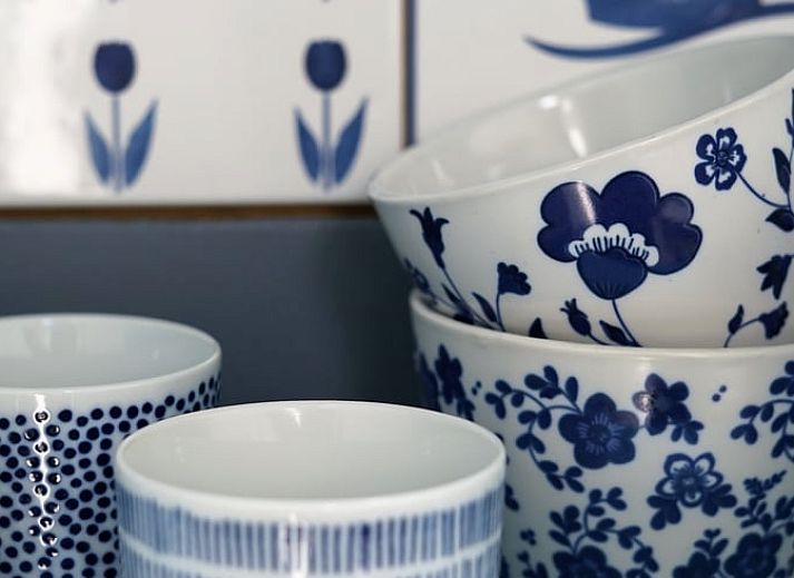 Unterkunft 120504 - Ferienhaus Sneekermeer - Huisje in Uitwellingerga