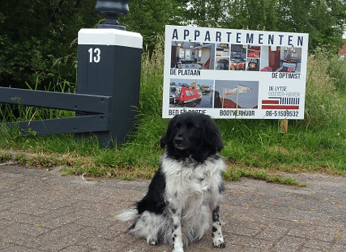 Unterkunft 120504 - Ferienhaus Sneekermeer - Huisje in Uitwellingerga