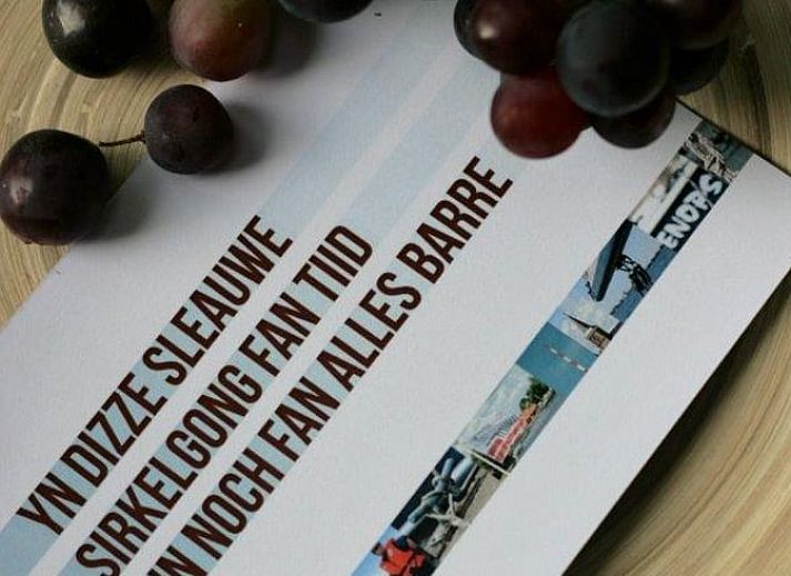 Stijlvolle binnenruimte van Vakantiehuisje in Uitwellingerga, met moderne keuken en comfortabele zithoek.