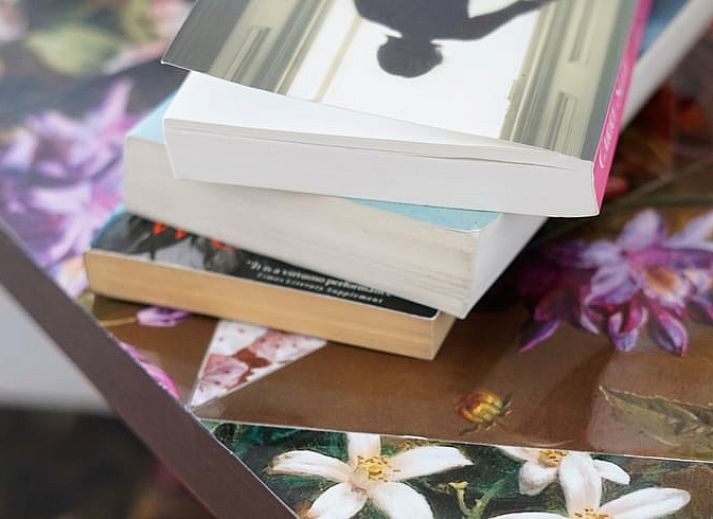 Uniek interieurontwerp in Vakantiehuisje in Uitwellingerga met opvallende rode accenten en open planken.