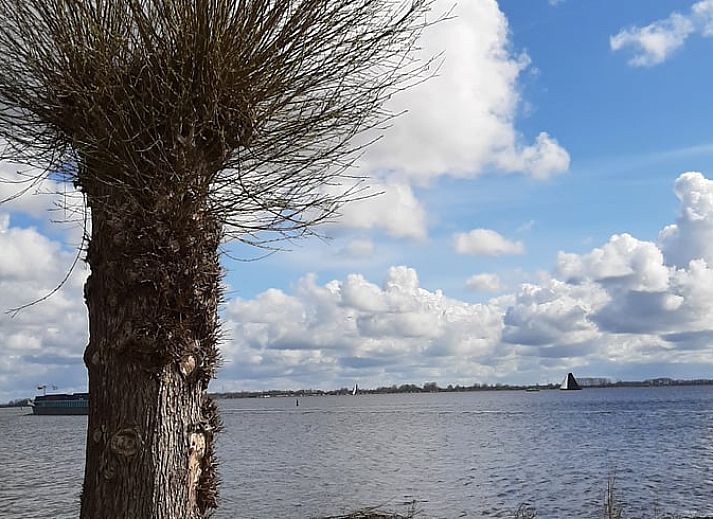 Guest house 120731 - Holiday property Sneekermeer - Huisje in Offingawier