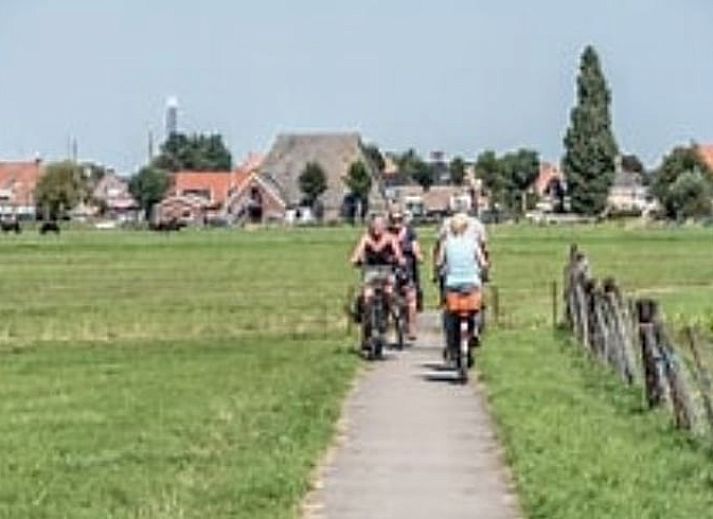 Ruhiger Garten am Ferienhaus in Offingawier, ideal zum Entspannen in der Natur der friesischen Seen.