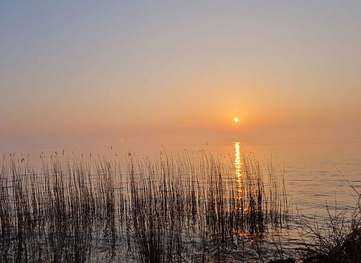 Gemuetliches Wohnzimmer im Cottage in Offingawier, Sneekermeer mit farbenfrohen Moebeln und Gartenblick.