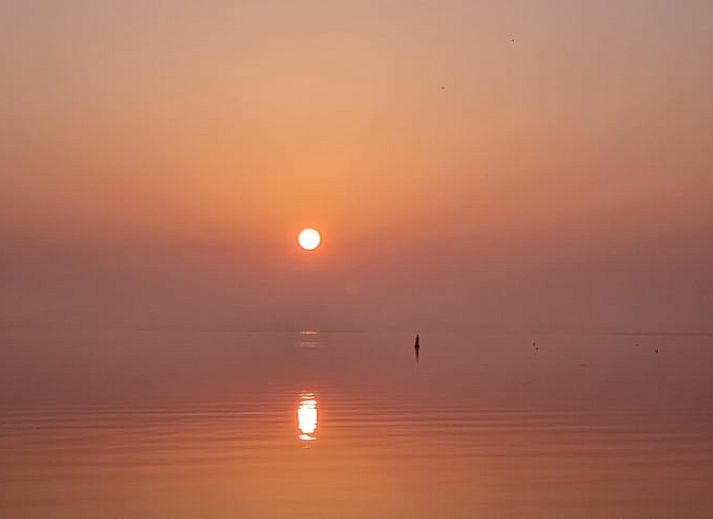 Aussenansicht von Cottage in Offingawier, Ferienhaus in Sneekermeer mit grosser Veranda und Garten.