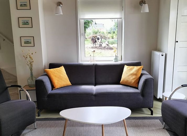 Geniessen Sie die Terrasse im Cottage in Terkaple, Ferienhaus am Sneekermeer, Friesische Seen.