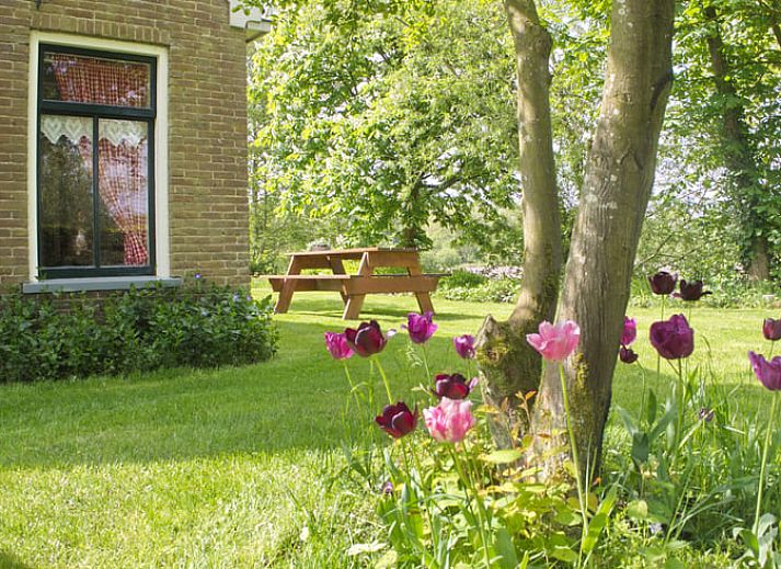 Unterkunft 130104 - Ferienhaus Bergumermeer - Vakantiehuis in Burgum