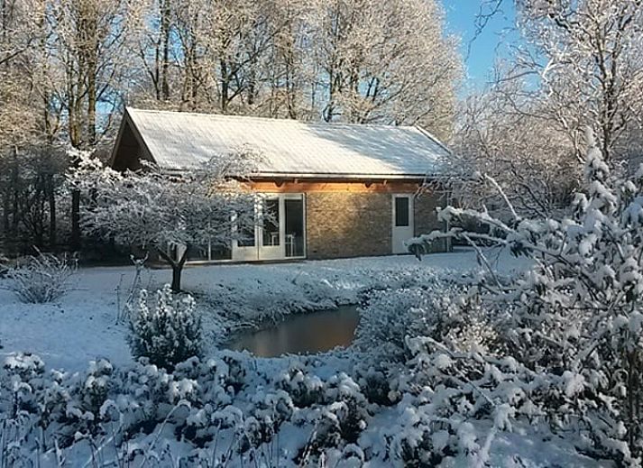 Guest house 130105 - Holiday property Bergumermeer - Vakantiehuis in Burgum