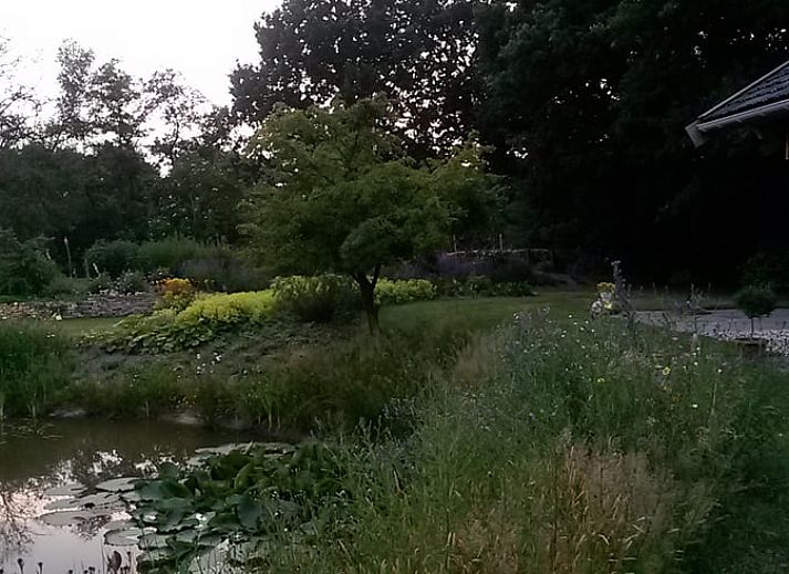 Guest house 130105 - Holiday property Bergumermeer - Vakantiehuis in Burgum