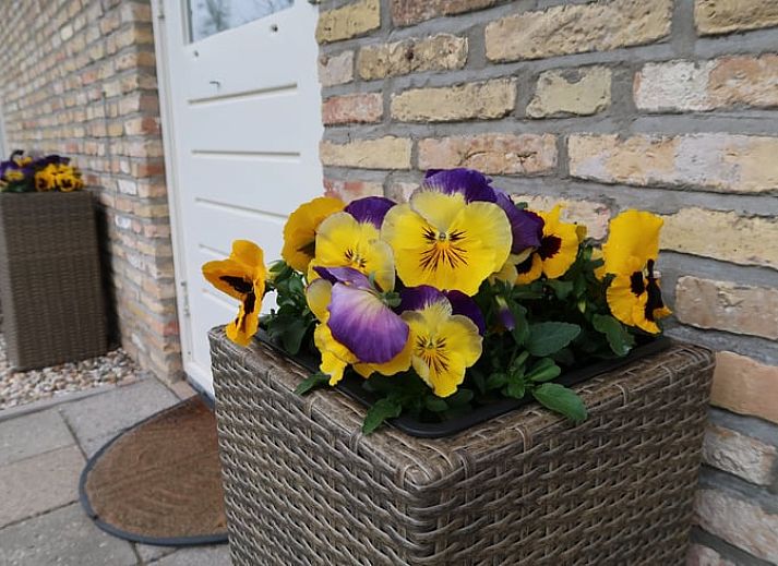 Guest house 130105 - Holiday property Bergumermeer - Vakantiehuis in Burgum