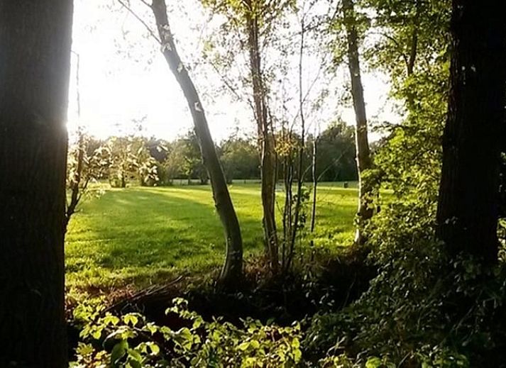 Guest house 130105 - Holiday property Bergumermeer - Vakantiehuis in Burgum