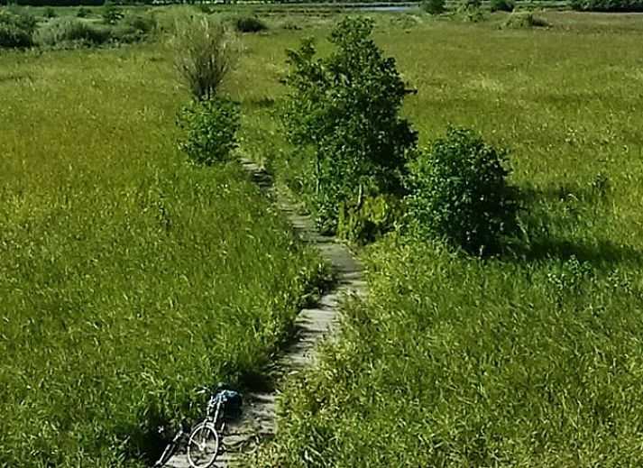 Guest house 130105 - Holiday property Bergumermeer - Vakantiehuis in Burgum