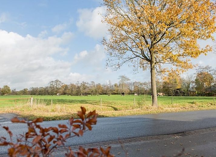Unterkunft 130305 - Ferienhaus Bergumermeer - Huisje in Sumar
