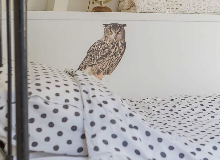 Unterkunft 130305 - Ferienhaus Bergumermeer - Huisje in Sumar