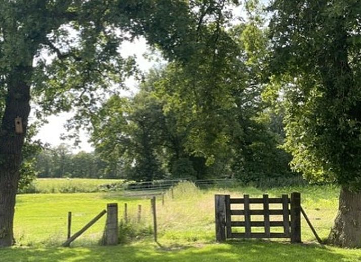 Guest house 130307 - Holiday property Bergumermeer - Huisje in Sumar