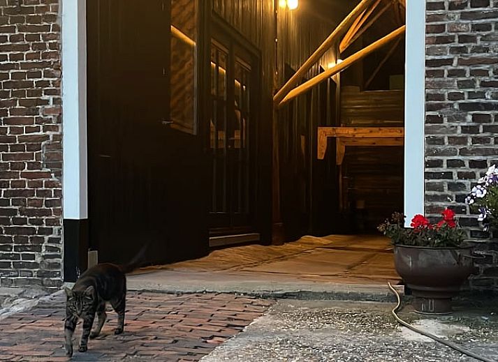 Ruim terras bij Huisje in Sumar, Sumar, Bergumermeer, Friese meren, met comfortabele zitplek en uitzicht op de natuur.