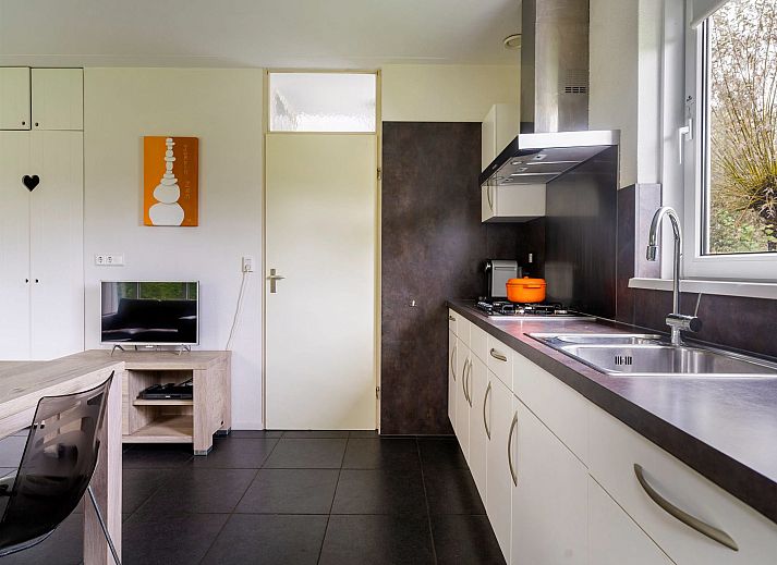 Guest house 140110 - Holiday property Princehof/Alde feanen - Vakantiehuis Bungalowpark It Wiid