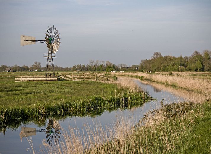 Authentieke Friese boten bij Vakantiehuis Bungalowpark It Wiid in Earnewald, omgeven door de Friese meren.