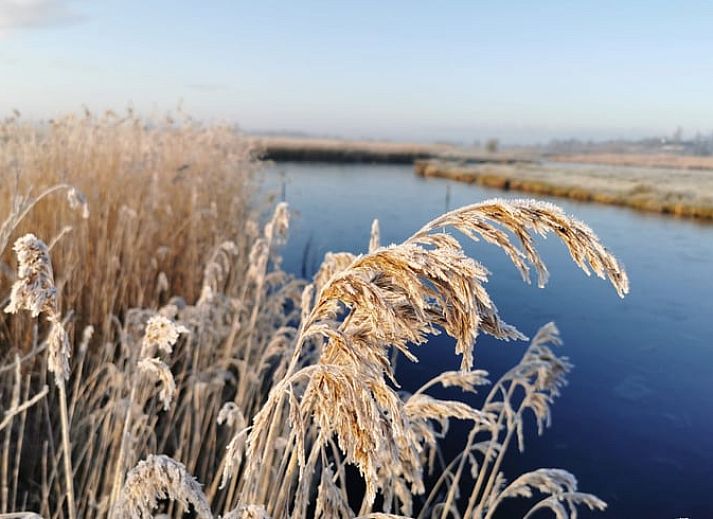 Guest house 140125 - Holiday property Princehof/Alde feanen - Huisje in Eernewoude