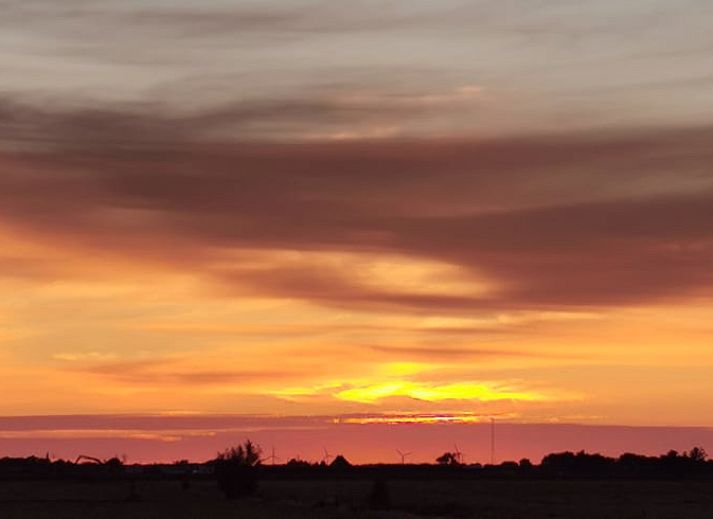 Guest house 140125 - Holiday property Princehof/Alde feanen - Huisje in Eernewoude