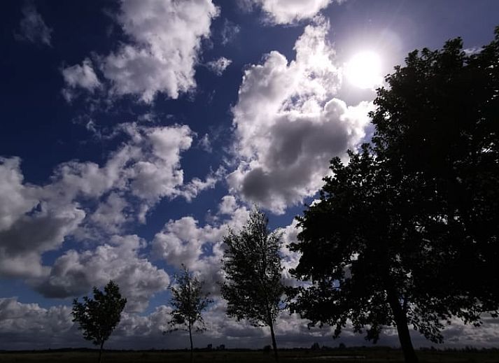 Guest house 140125 - Holiday property Princehof/Alde feanen - Huisje in Eernewoude