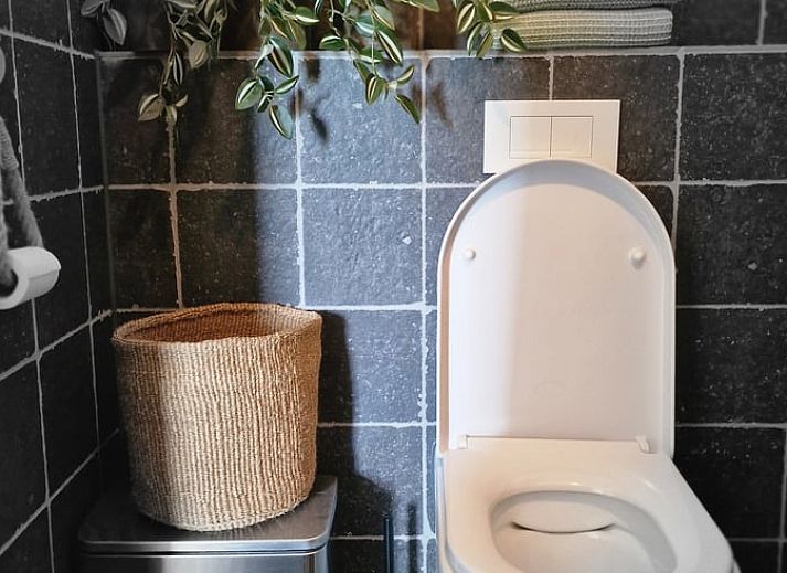 Guest house 140125 - Holiday property Princehof/Alde feanen - Huisje in Eernewoude