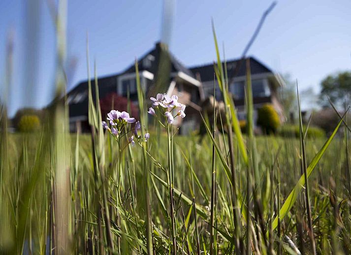 Luchtfoto van vakantiehuis FR403 in Earnewald, gelegen aan de Friese meren met prachtig uitzicht op de omgeving.