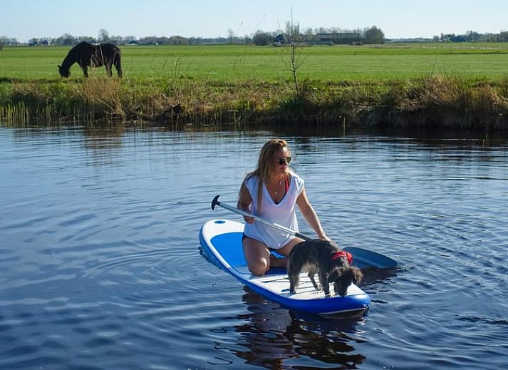 Atemberaubender Sonnenuntergang am Ferienhaus in De Veenhoop, der sich im Wasser der friesischen Seen spiegelt.