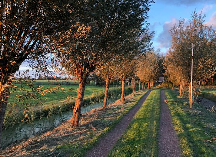 Atemberaubender Sonnenuntergang am Ferienhaus in De Veenhoop, der sich im Wasser der friesischen Seen spiegelt.