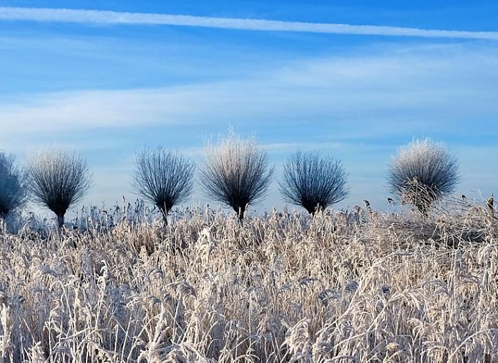 Esszimmer im Ferienhaus in De Veenhoop, gemuetliches Ferienhaus in Alde Feanen, Friesische Seen.