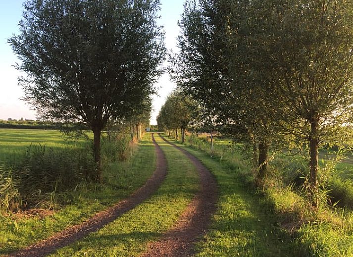 Gemuetliche Sitzecke in Cottage in De Veenhoop, Ferienhaus mit Holzofen und Blick auf die Natur.