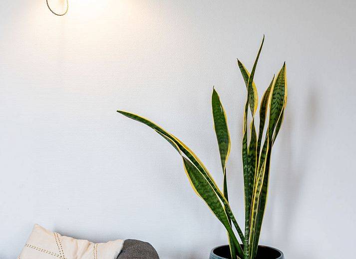 Verblijf 140307 - Vakantiewoning Princehof/Alde feanen - Vakantiehuis Natuurlijk de Veenhoop