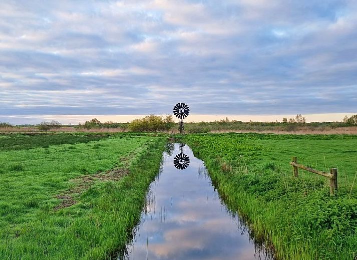 Moderne Einrichtung des Ferienhauses Naturally de Veenhoop in De Veenhoop, ideal fuer einen entspannten Aufenthalt.