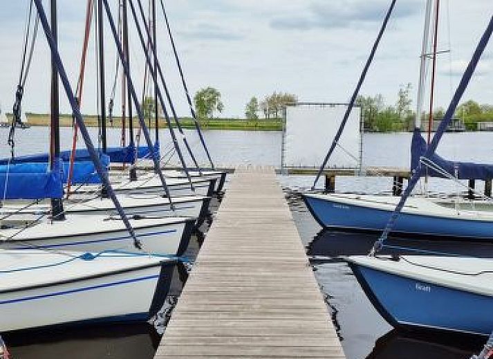 Vakantiehuis 4-persoons Doutzen in De Veenhoop, omringd door groene heggen en blauwe lucht.
