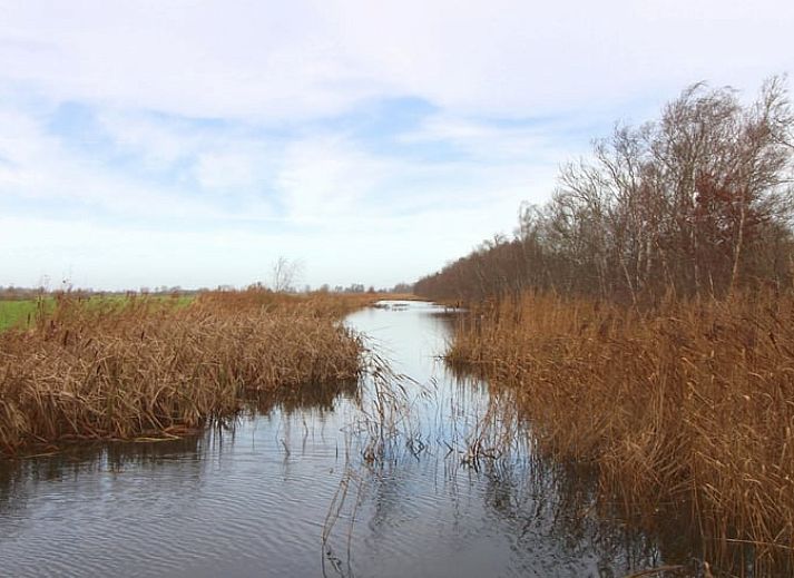 Unterkunft 140323 - Ferienhaus Princehof/Alde feanen - Vakantiehuis in De Veenhoop