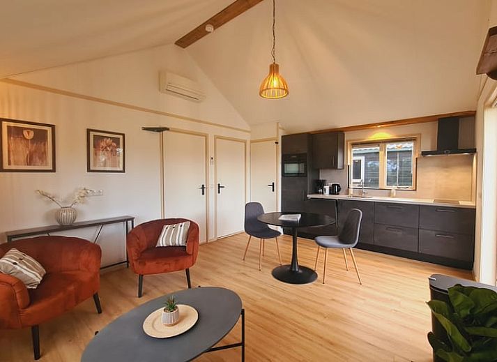 Gemuetliches Wohnzimmer des modern eingerichteten Ferienhauses in De Veenhoop an den friesischen Seen.