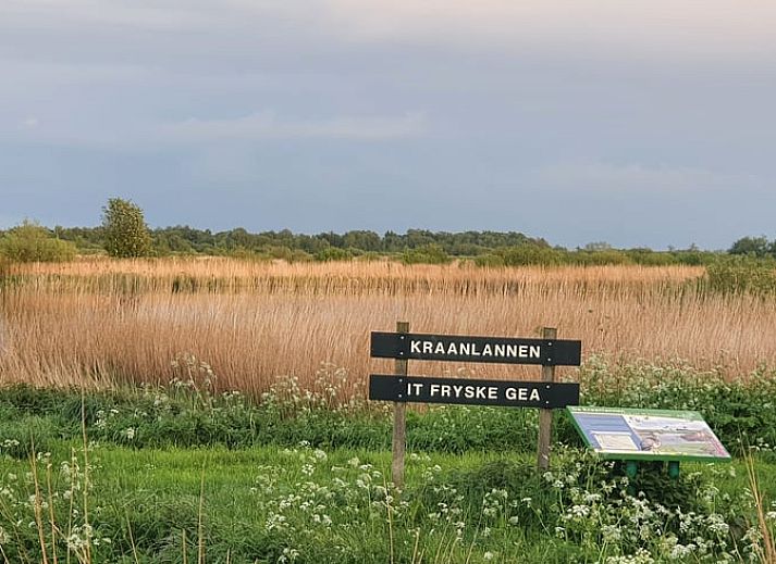 Unterkunft 140349 - Ferienhaus Princehof/Alde feanen - Vakantiehuis in De Veenhoop