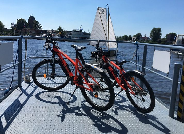 De Thuiskamer, een charmant vakantiehuis in Grou, Friesland, met kleurrijke bloemen en authentieke Friese architectuur op het platteland.