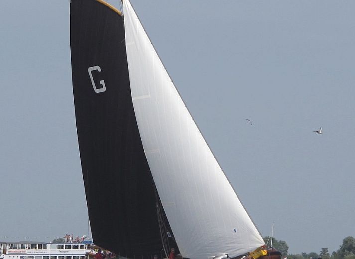 Geniet van fietsen rondom De Thuiskamer in Grou, Friesland. Ontdek het Friese platteland vanuit deze comfortabele vakantieaccommodatie.