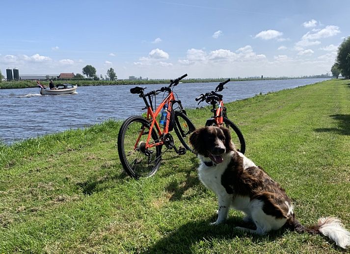 Geniet van fietsen rondom De Thuiskamer in Grou, Friesland. Ontdek het Friese platteland vanuit deze comfortabele vakantieaccommodatie.