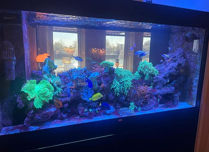 Guest house 156205 - Apartment Walcheren - Hotel Le Beau Rivage