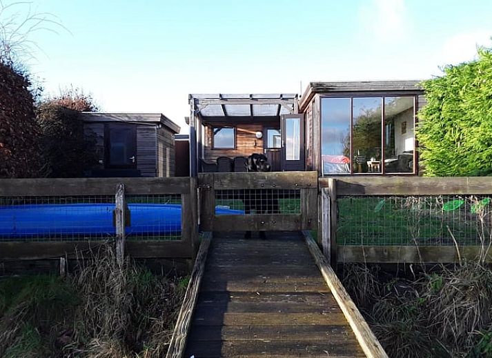 Entdecken Sie die wilde Natur rund um Cottage in Oostmahorn, Ferienhaus bei Lauwersmeer, Friesische Seen. Geniessen Sie die Aussicht auf grasende Pferde.