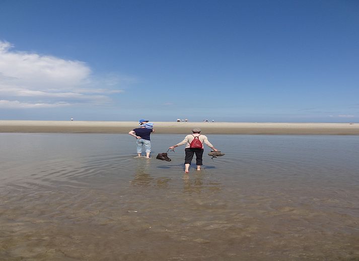 Verblijf 160510 - Vakantiewoning Lauwersmeer - De Scholekster